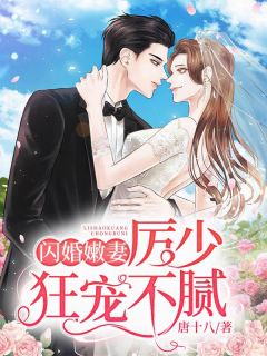 闪婚总裁霸道宠全文免费阅读(乔落厉墨寒) 完结版