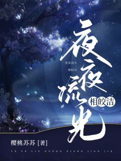 夜夜流光相皎洁全文免费阅读 舒颜司洛小说大结局无弹窗